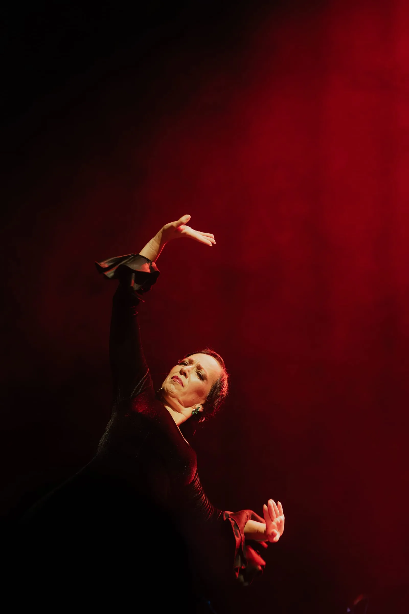 Flamenco