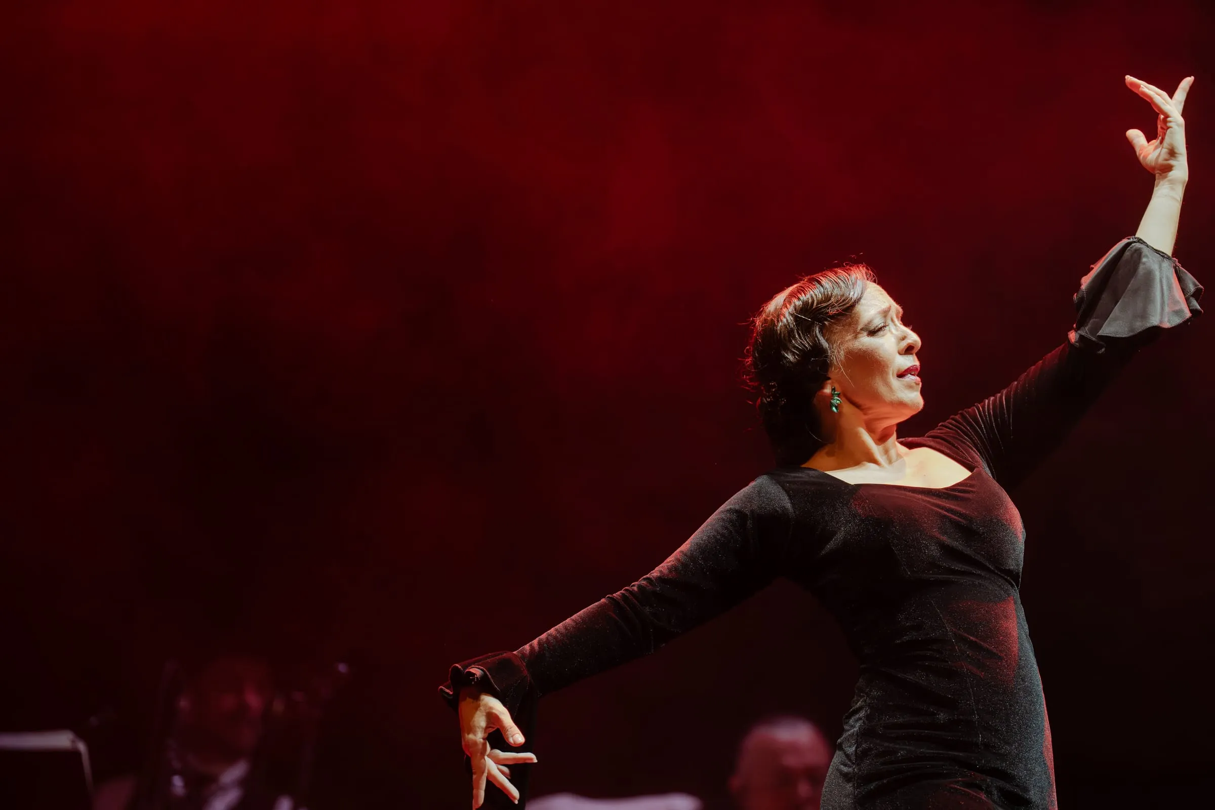 Flamenco — 4