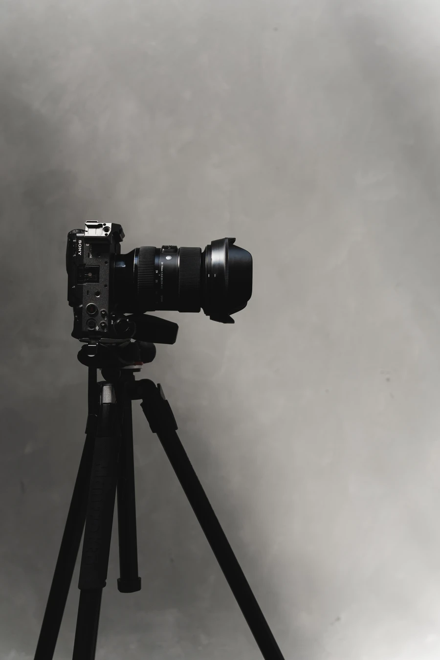 Estudio fotográfico Santo Rollo