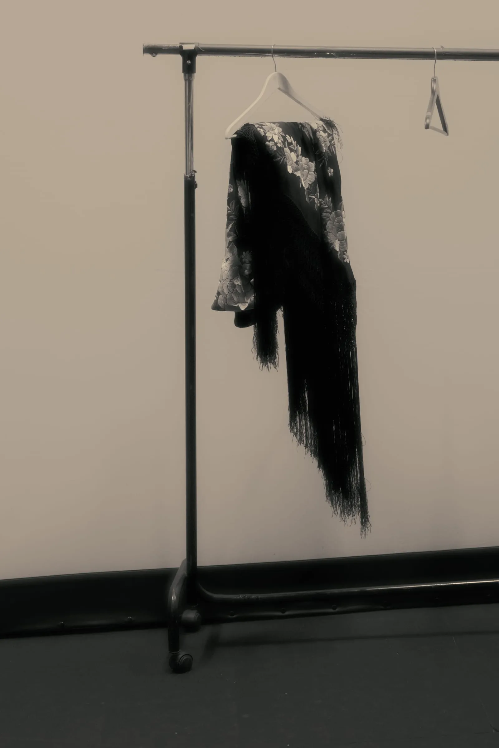 Flamenco — 3